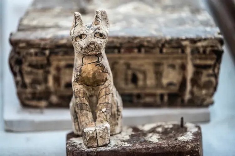 1730341436945981.jpg 1_HF_house-cat-history_first-indoor.jpg